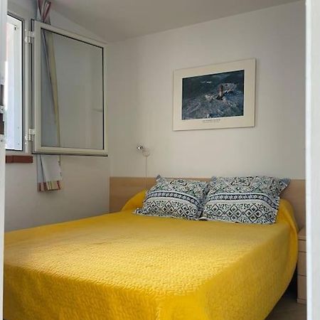 Ferienwohnung Appart. / Clim / Piscine / Mer A 300M Linguizzetta Exterior foto
