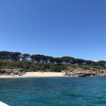 Ferienwohnung Appart. / Clim / Piscine / Mer A 300M Linguizzetta Exterior foto