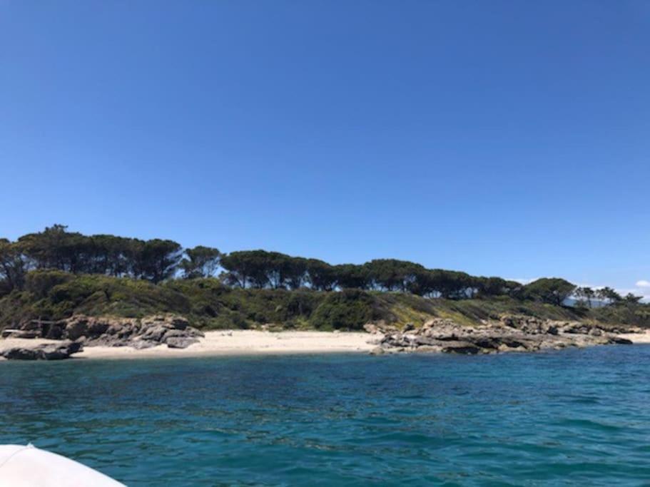 Ferienwohnung Appart. / Clim / Piscine / Mer A 300M Linguizzetta Exterior foto